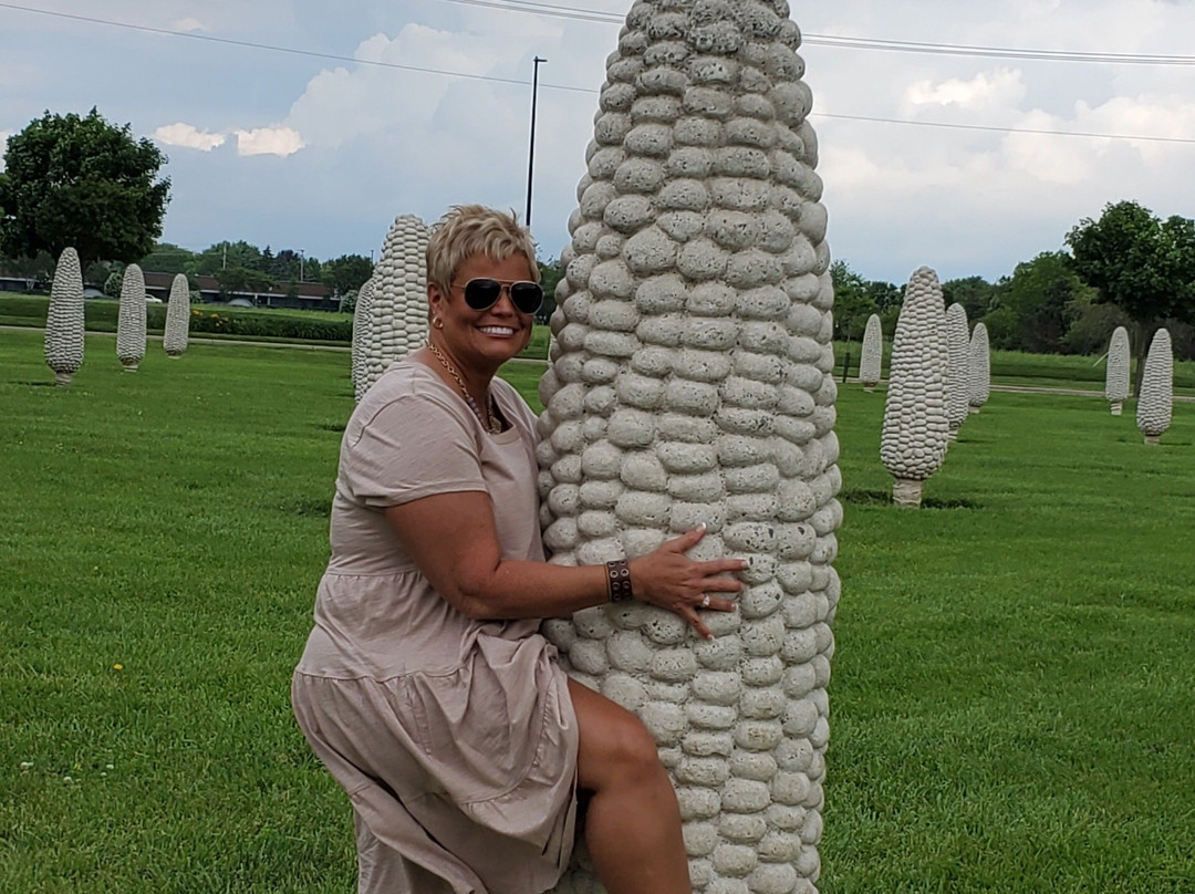 Field of Giant Corn Ears-都柏林必去景点