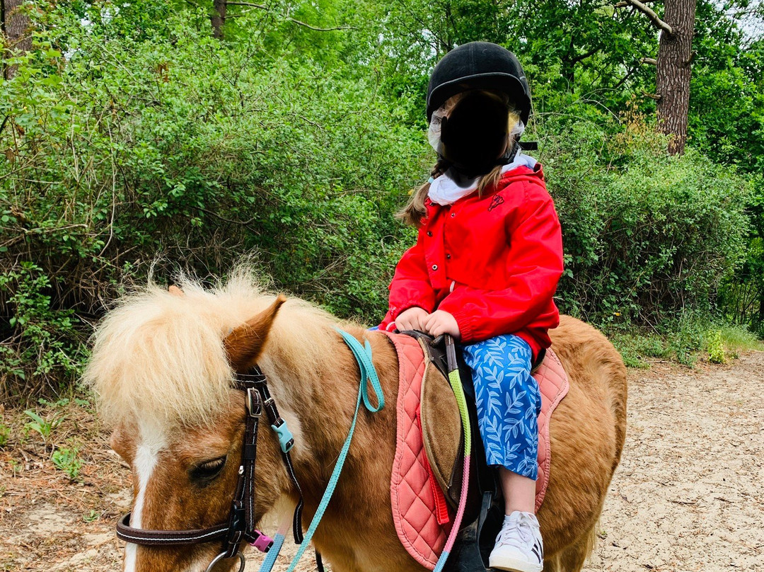 Poney Club de Rombly景点图片