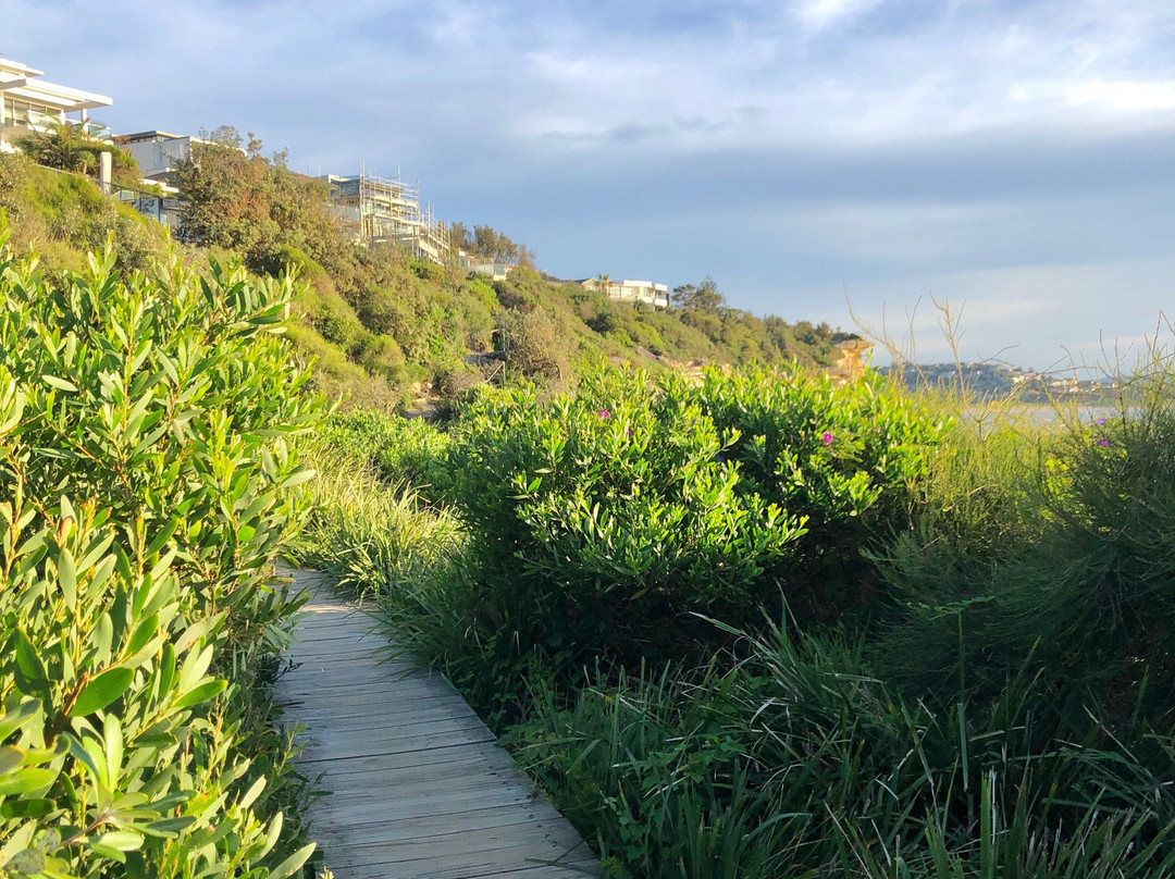 Curl Curl to Freshwater Beach Coastal Walk景点图片