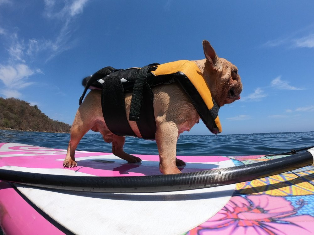 Akali Experiences-La Cruz de Huanacaxtle必去景点