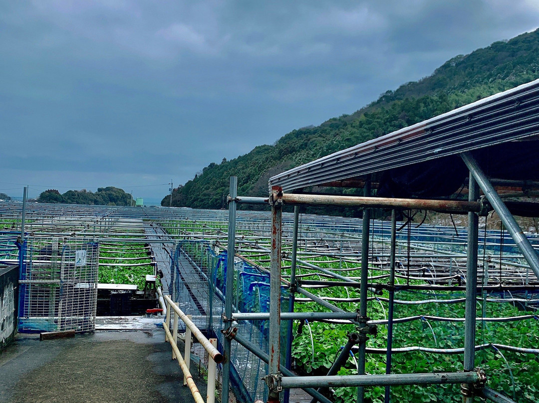 Wasabien Taradake-太良町必去景点