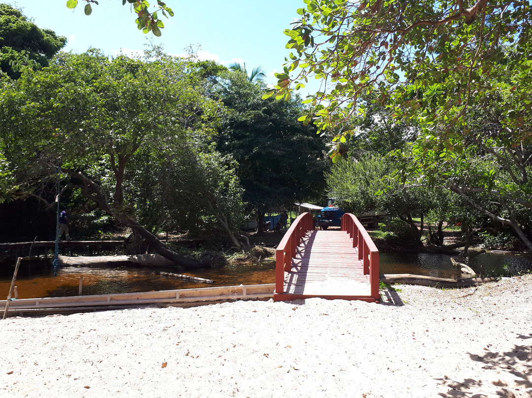 Igarape Agua Boa-Ilha do Marajo必去景点
