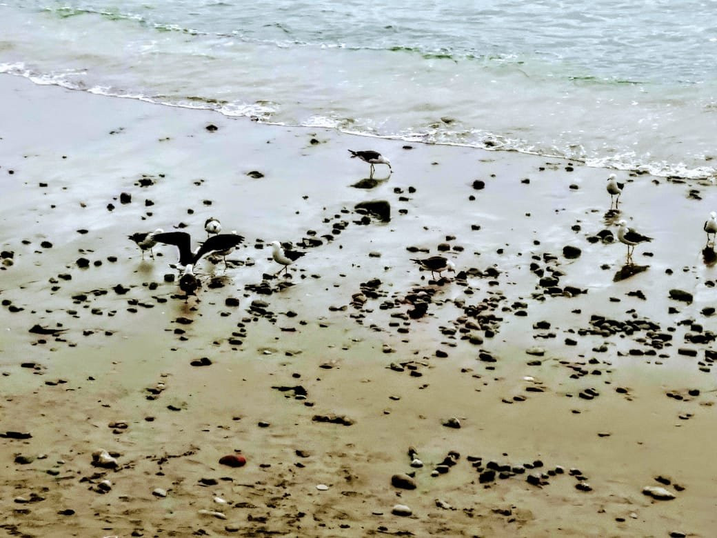 El Silencio-Punta Hermosa必去景点