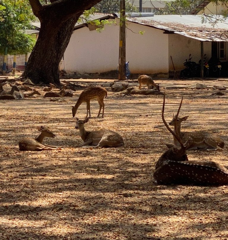 Fort Frederick-Trincomalee必去景点