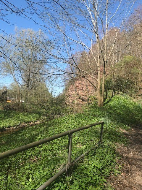 Jedburgh Visitscotland Icentre-Jedburgh必去景点