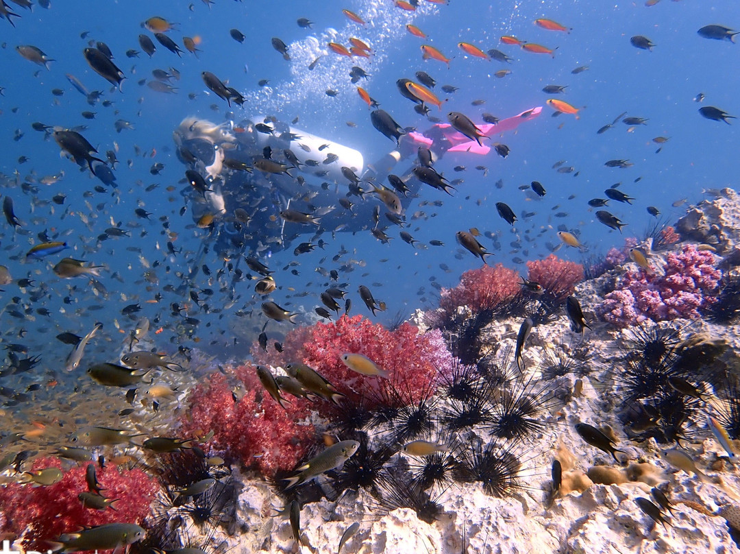 PhuketDivemaster.com-普吉岛必去景点