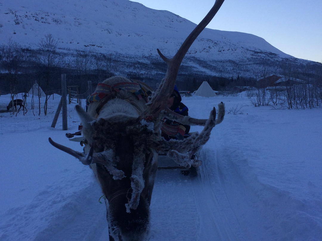 Sami Adventure景点图片