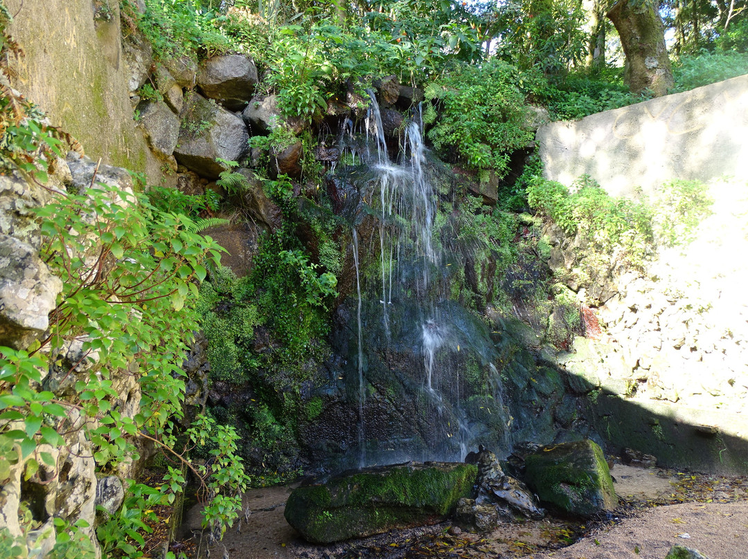 Cascata de Pisoes景点图片