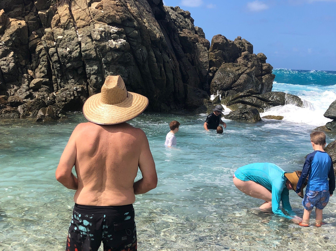 The Bubbly Pool-Jost Van Dyke必去景点