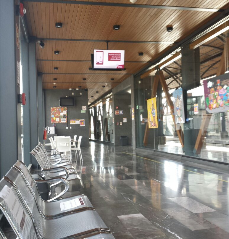 Tren Turistico景点图片