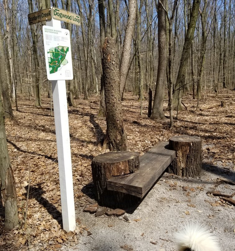 Edison Woods Reserve景点图片