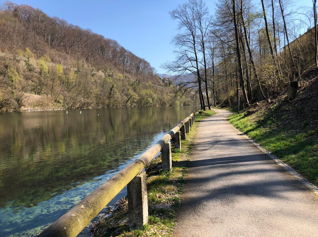 Treppelweg entlang der Traun-葛姆登必去景点
