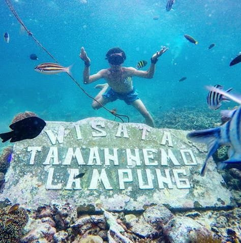 Pahawang Island-班达楠榜必去景点