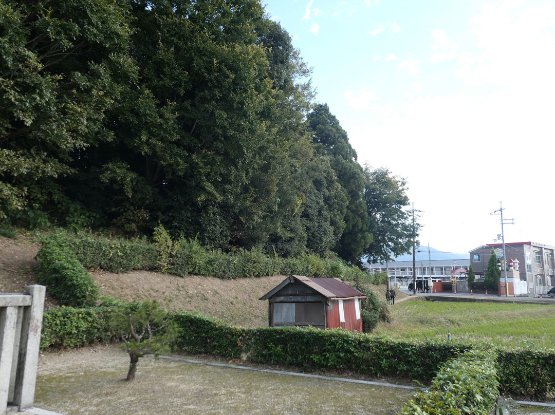 Makimuku Old Tomb-樱井市必去景点