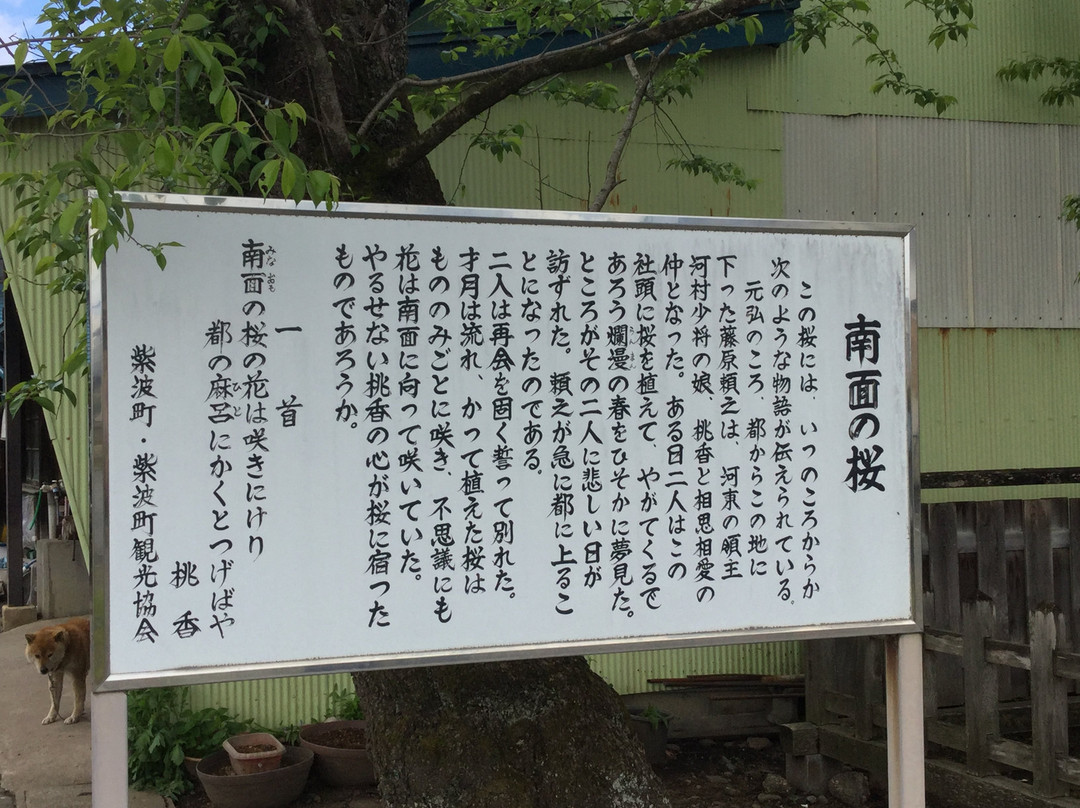 Shiariwake Shrine-紫波町必去景点