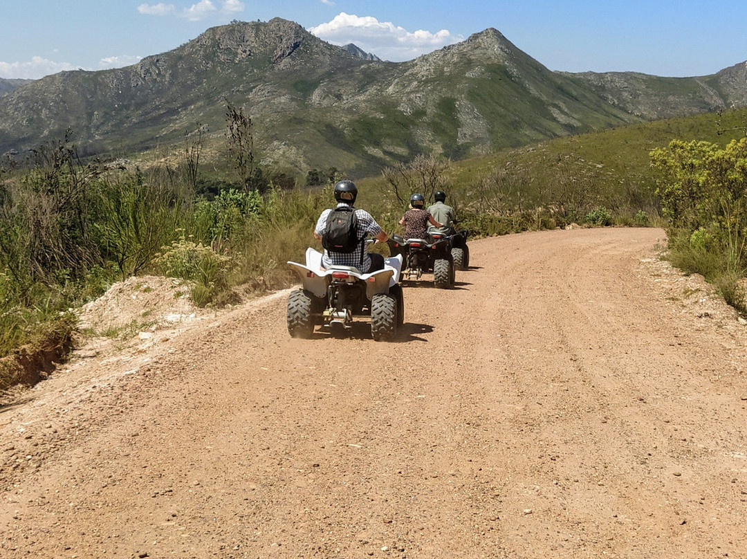 WildX Adventures - Garden Route-荒野必去景点