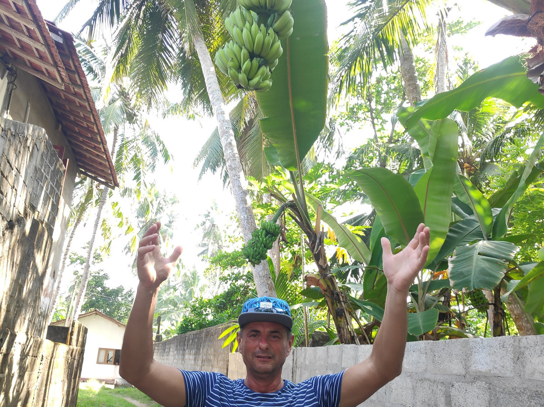 Akurala Beach Boutique Resort主图