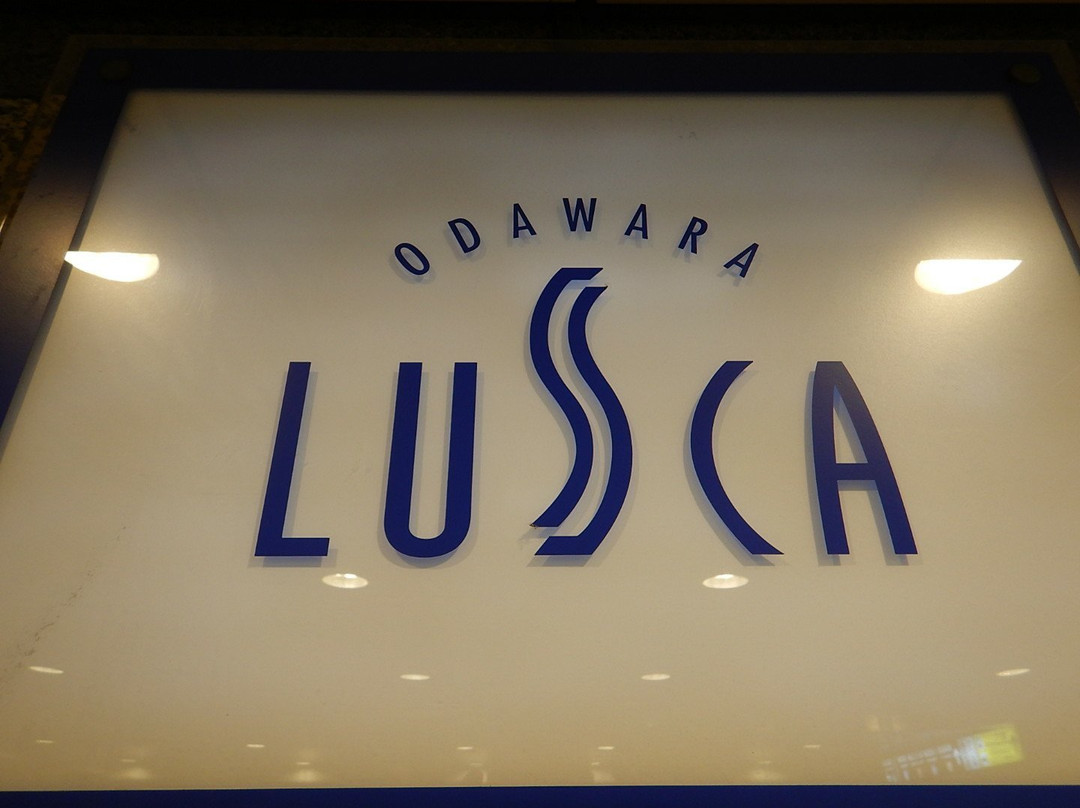 Odawara Lusca景点图片
