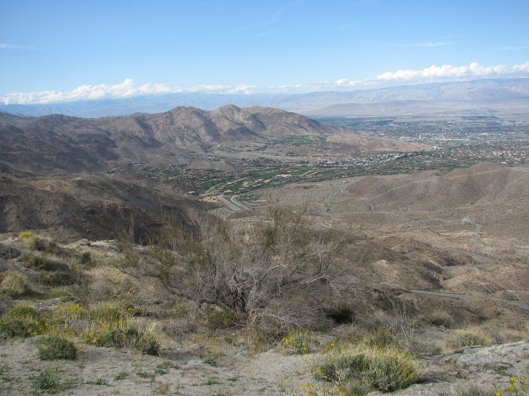 Palms to Pines Scenic Byway-棕榈沙漠必去景点