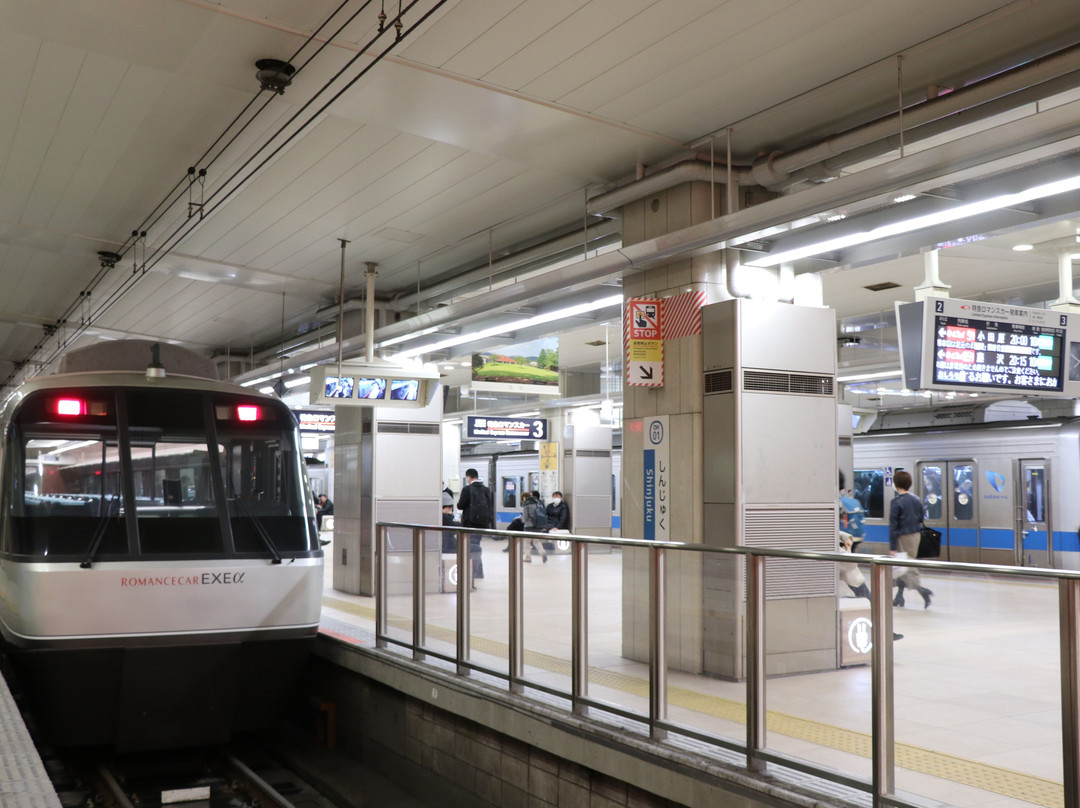 Odakyu Limited Express Romancecar-东京都必去景点