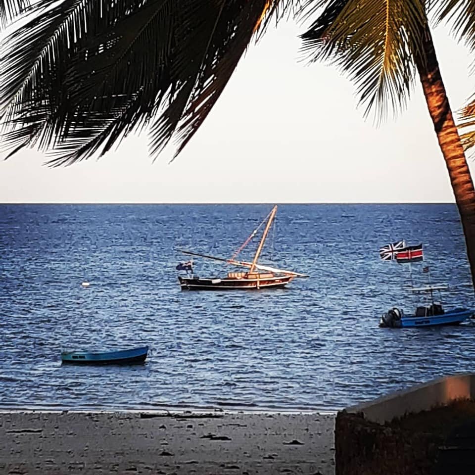 Driftwood Beach Club-泳池