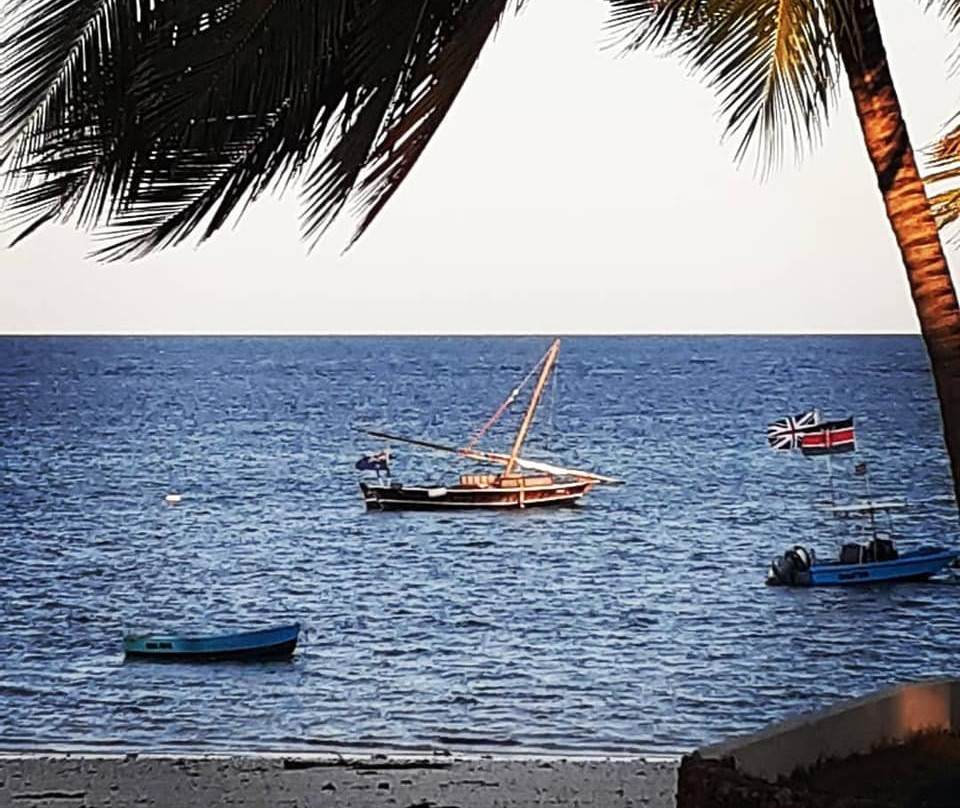 Driftwood Beach Club主图