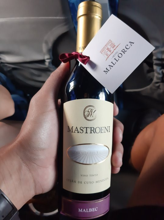 Hotel Mallorca主图