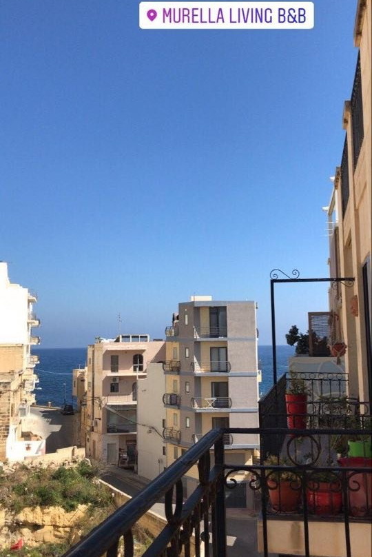 Murella Living主图