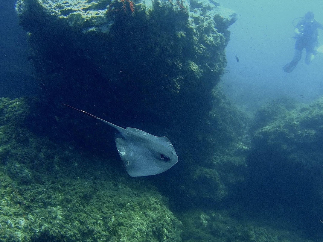 Scubaworld-Orihuela Costa必去景点