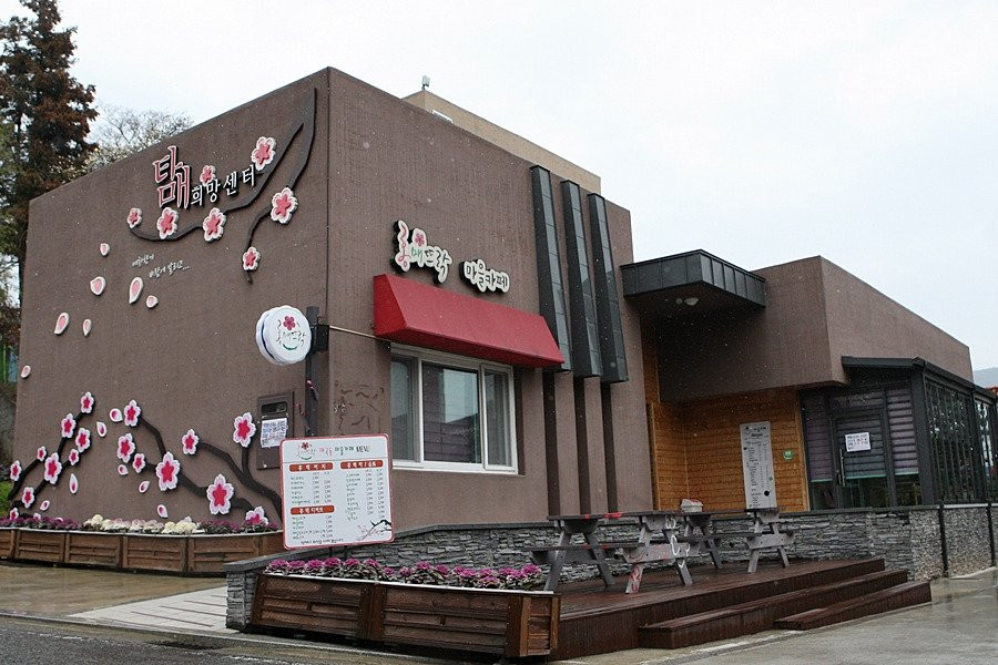 Maegokdong Tammae Village-顺天市必去景点