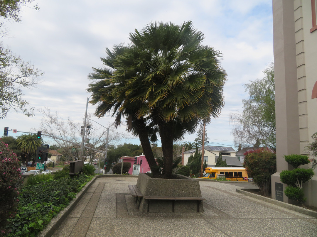 All Saints Catholic Church-海沃德必去景点