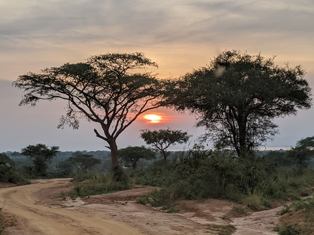 Africa Runners Company-坎帕拉必去景点