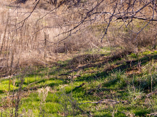 Buenos Aires National Wildlife Refuge-Arivaca必去景点