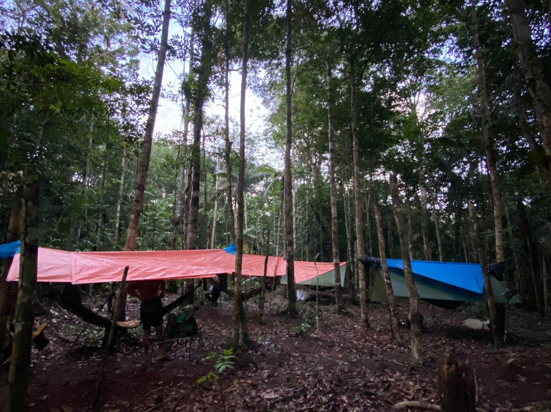 Jaguar Jungle Tour-玛瑙斯必去景点