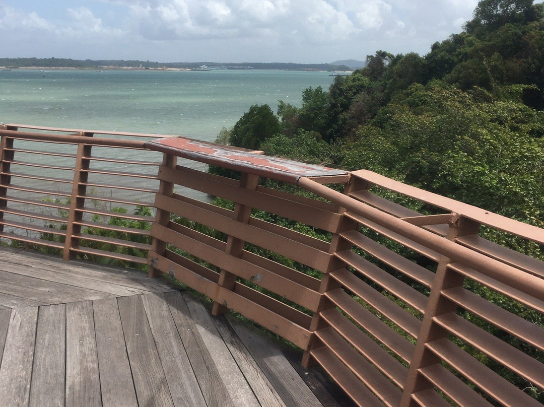 Chek Jawa-乌敏岛必去景点