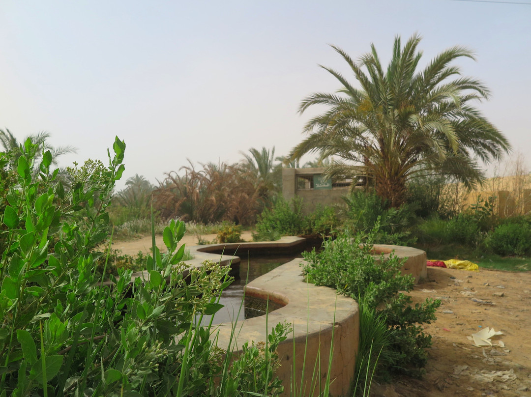 Al Beshmo Springs (Roman Springs)景点图片