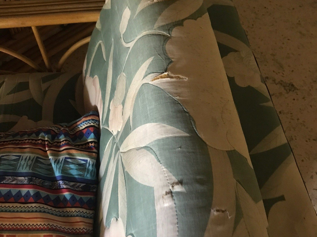 Coco Palm Garden & Casa Oleander主图