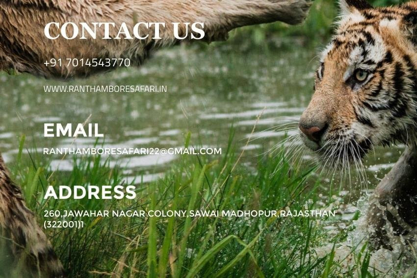 Trip To Ranthambore-瑟瓦伊马托布尔必去景点