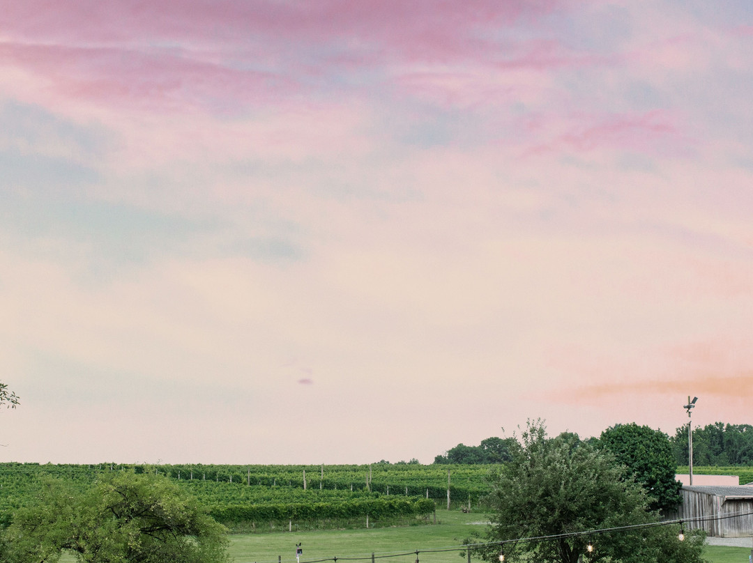 Penns Woods Winery景点图片