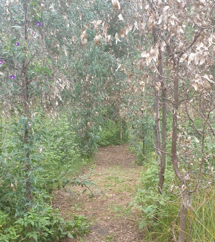 Modderfontein Reserve景点图片