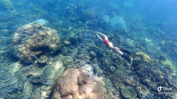 Sutera At Mantanani主图