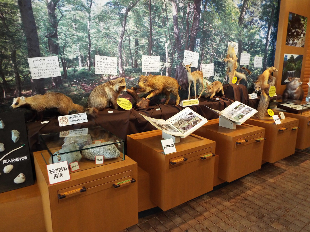 Hadano Togawa Park-秦野市必去景点