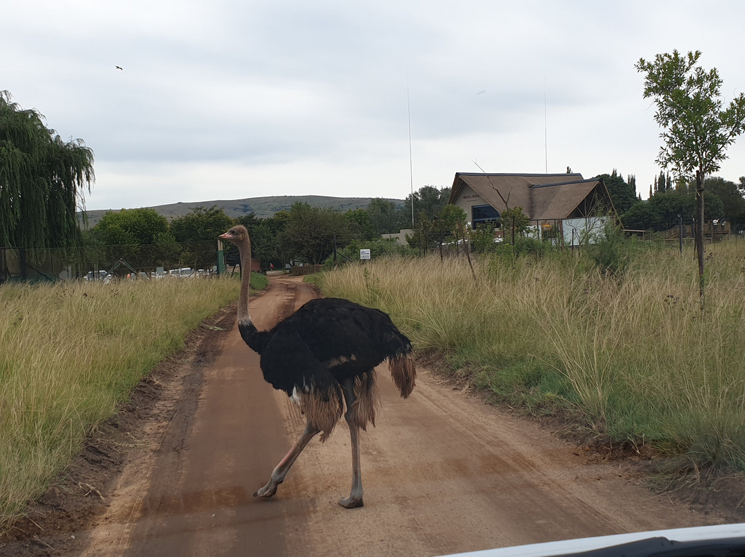 Macit Tours - Day Tours-桑顿必去景点