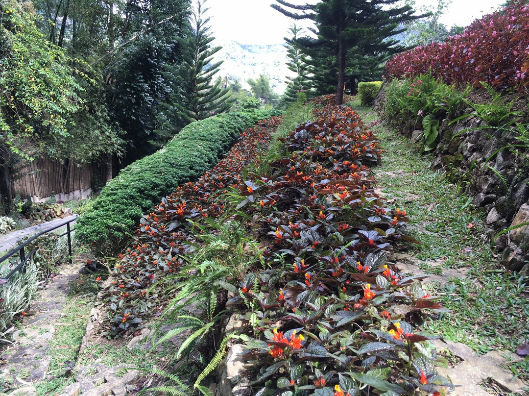 Terrazas de Flores景点图片