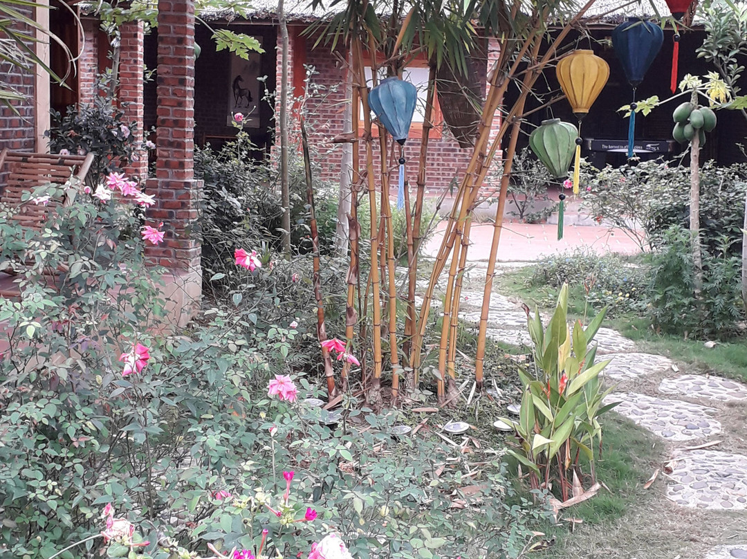 Ninh Binh Palm Homestay主图