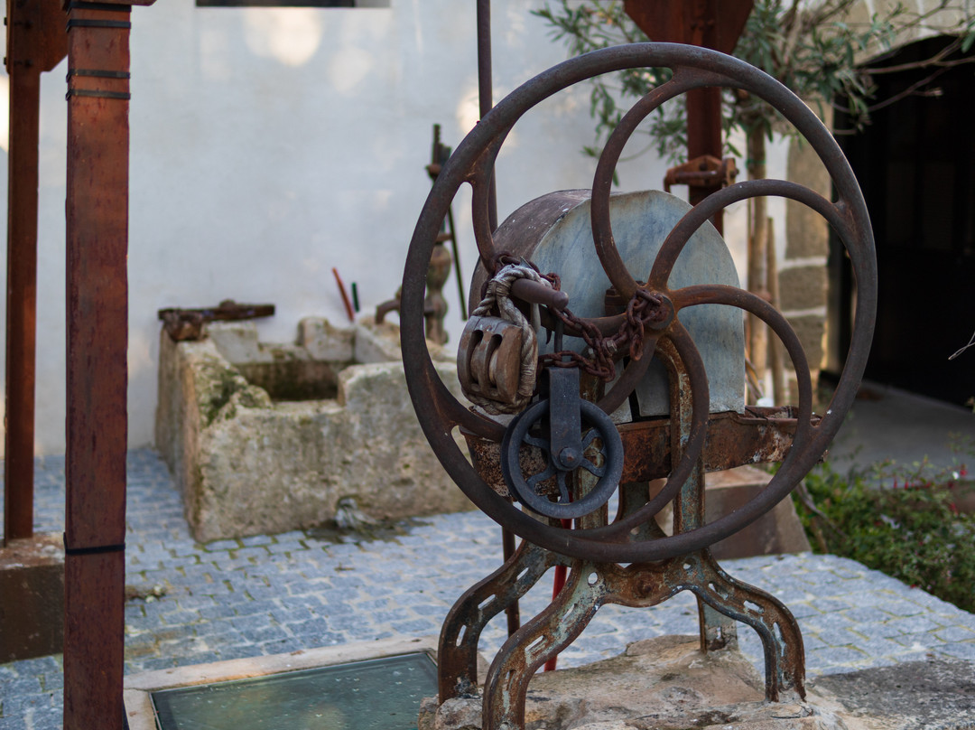 Domaine Tarbouriech主图