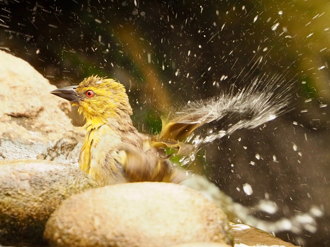 Mangaleka Africa-Umdloti必去景点