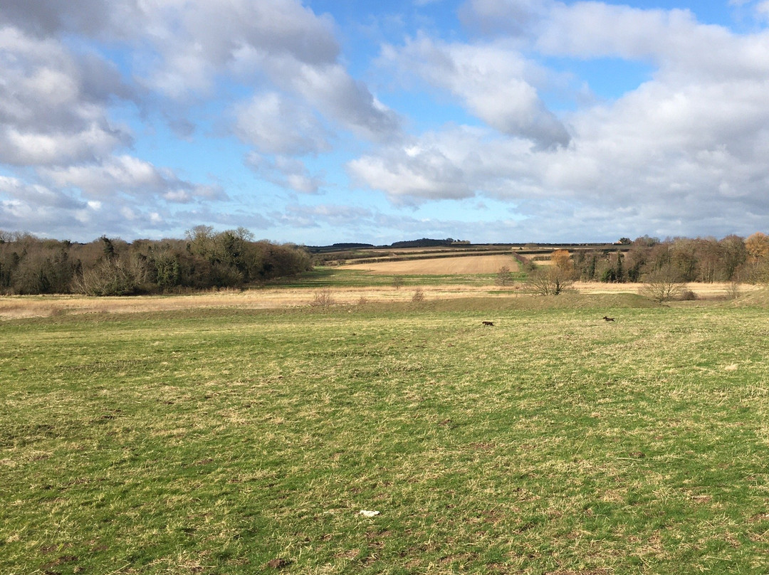 Warham Camp-Warham必去景点