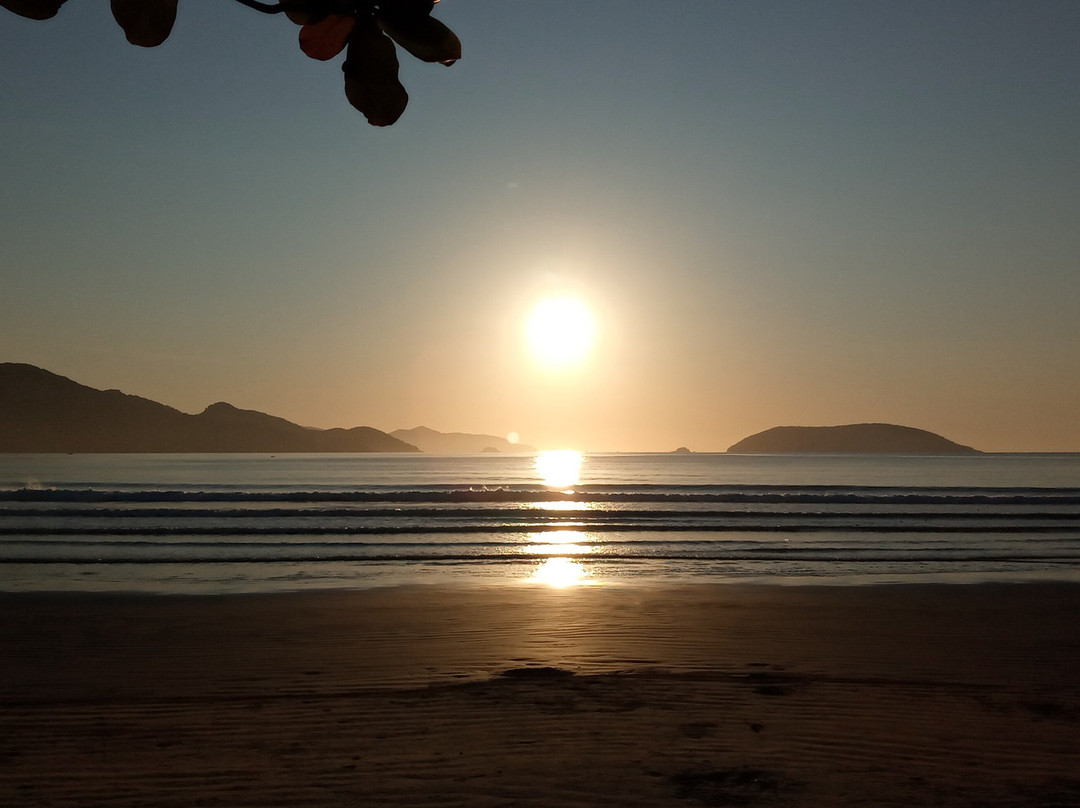 Chales Four Seasons主图