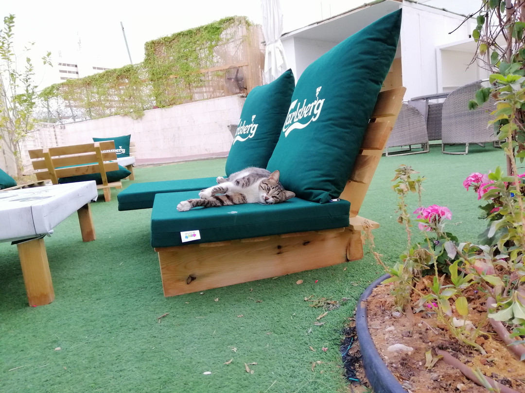 Herbert Samuel Hod Dead Sea Hotel主图